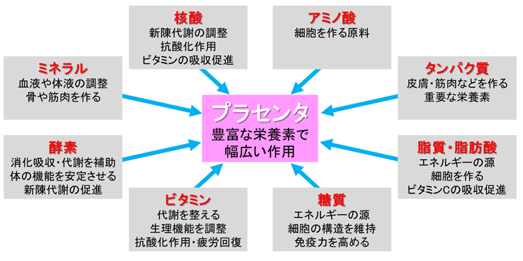 プラセンタ注射とは